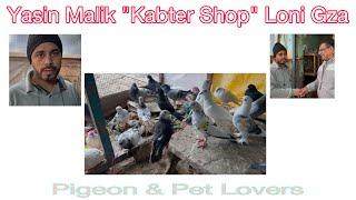 Kabuter Shop Yasin Malik Loni Gaziabad / कबूतर सेल दुकान लोनी गाजियाबाद। Sale / purchase