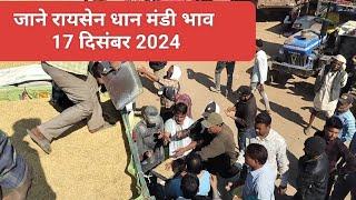 17 दिसंबर 2024 रायसेन धान मंडी भाव जानिए पुषा धान मंडी रायसेन