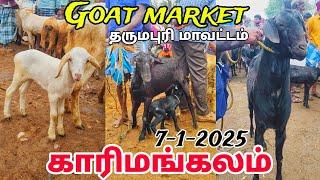 karimangalam Goat market வளர்ப்பு குட்டிகள் சினை ஆடு மற்றும் விலை நிலவரம் காரிமங்கலம்