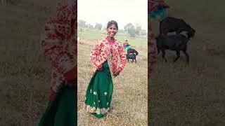 दिलवा पर हमारे गिरा बिलीव बिजोलिया#video 🙏🙏👍