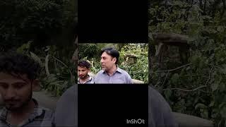 अमरोहा जिले के हसनपुर के कब्रिस्तान में कुल्हाड़ी से पेड़ो को काट दिया