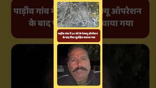 panther in sirohi | शूटर डीपी शर्मा के नेतृत्व में पैंथर को सिरोही रेस्क्यू सेंटर में पहुंचाया गया