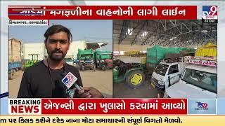 Groundnut farmers irked over delay in payment against crop procurement in Himatnagar | Sabarkantha