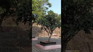 मनाला प्रसन्न करनार ठिकाण चांदवड सुदर निसर्ग 🌲🌲🌲🌲