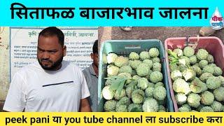 सीताफळ बाजारभाव जालना | rate of custard apple in jalna | फळे | frut | पीक पाणी | peek pani