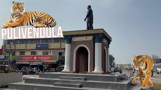 Pulivendula || ANDHRA PRADESH ||