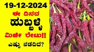 Today Byadigi Market Chilli Rates l 20-12-2024 l ಬ್ಯಾಡಗಿ ಮಿರ್ಚಿ ಗರಿಷ್ಠ ಬೆಲೆ ಎಷ್ಟು? l ‎‎bea