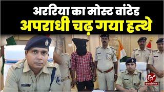 अररिया पुलिस और एसटीएफ की बड़ी सफलता, मोस्ट वांटेड आशीष कुमार को घेरकर पकड़ा