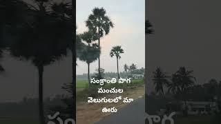 గుడివాడ