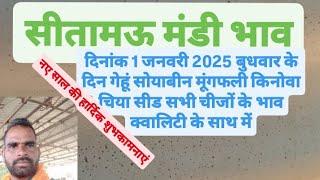 सीतामऊ मंडी भाव दिनांक 1 जनवरी 2025 बुधवार के दिन गेहूं मेथी किनोवा सोयाबीन मूंगफली सभी चीजों के