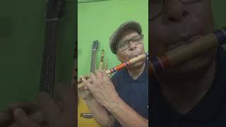 गढ़वाली लोक गीत टिहरी डूबन लग्यूचा uttrakhandi lok geet tihri duban lagu cha# on flute