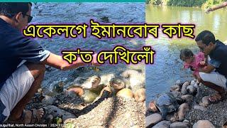 একেলগে ইমানবোৰ কাছ ক'ত দেখিলোঁ ||নাগশংকৰ দেৱালয়||বিশ্বনাথ||