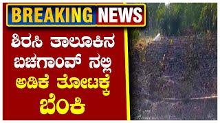 ಶಿರಸಿ ತಾಲೂಕಿನ ಬಚಗಾಂವ್ ನಲ್ಲಿ ಅಡಿಕೆ ತೋಟಕ್ಕೆ ಬೆಂಕಿ|