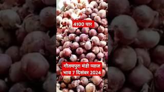 गौतमपुरा मंडी प्याज भाव 7 दिसंबर 2024