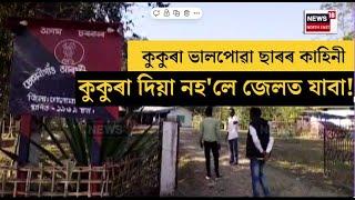 Golaghat News | কুকুৰা ভালপোৱা ছাৰৰ কাহিনী | কুকুৰা দিয়া নহ'লে জেলত যাবা! | N18V