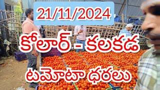 21/11/2024 // కోలార్ //కలకడ //🍅🍅🍅టమోటా మార్కెట్ ధరలు