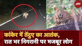 Kanker में Leopard ने रात में किया Attack, दहशत में ग्रामीण, Forest Department कर रहा मॉनिटरिंग