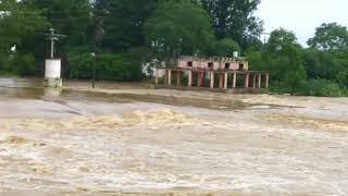 🌊🌏 राजनांदगांव शिवनाथ नदी मोहरा 🌏🌊         AnnuYadav-vlog2