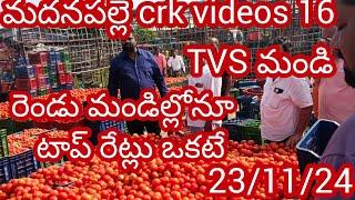 23/11/24 Madanapalle Tomato prices 🍅 మదనపల్లె టమాటా రేట్లు