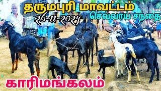 goat market karimangalam வளர்ப்பு ஆட்டு குட்டிகள் அதிகம் விலை 🧐 காரிமங்கலம் ஆட்டு சந்தை தருமபுரி