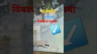 वलखेड ता.दिंडोरी येथे बिबट्याची दहशत | नागरिकांनी सतर्क रहावे