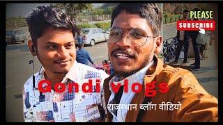 Gondi vlog फतेह सागर झील: नीला रत्न उदयपुर गोंडी ब्लॉग राजस्थान