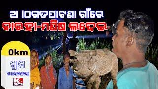 କବିସୂର୍ଯ୍ୟନଗର ଅ।ଠଗଡପାଟଣା ଗାଁରେ ବାରହା ମଣିଷ ଲଢେଇ । ଦେଖନ୍ତୁ ପୁରା ଦୃଶ୍ୟ ।