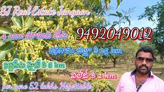 4 acre//మామిడి తోట//దానిమ్మ తోట//జనగాం జిల్లా// బచన్నపెట మండలం