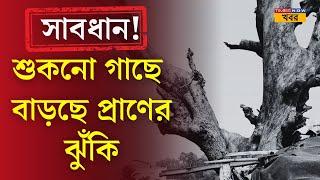 West Midnapore-এ Pingla-য় রাজ্য সড়কের ধারের শুকনো গাছ এলাকার মানুষের কাছে বড় বিপদের কারণ | News