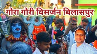 गौरा गौरी विसर्जन कोटा बिलासपुर  Gaura Gauri Visarjan kota bilaspur Chhattisgarh Vlogs Gulab Parana