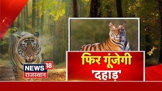 Rajasthan News : फिर गूंजेगी 'दहाड़', जंगल सफारी का रोमांच | Bundi News | Tiger | Latest News | Top