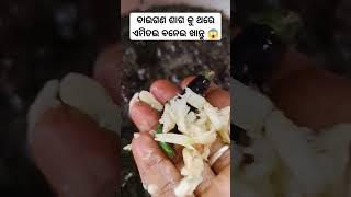 ବାଇଗଣ ସାଗ କୁ ଥରେ ଏମିତି ବନେଇ ଖାନ୍ତୁ 😱# saga#recipe#desi ♥️😘😇#