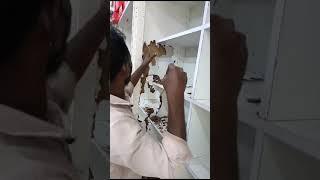 Any vileaj తుని pest control service contekt nembar 8309251819