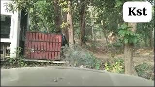 कसडोल मे पकड़े हुए बाघ को गुरु घासीदास Tiger Reserve मे छोड़ा गया | Kasdol Tiger Rescue Final Part