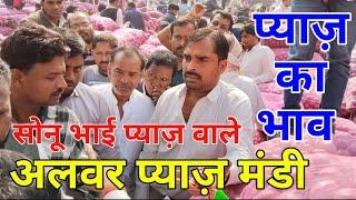 Today Onion Rate Alwar Onion Mandi Rajasthan /हरी सैनी की फड़ से प्याज़ के भाव