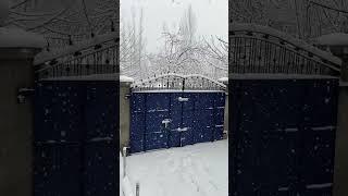 Beautiful Live Snowfall at Anantnag in kashmir #snow #snowfall #live snowfall