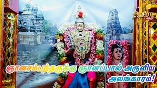 காரைக்கால் திருநள்ளாரில் பிரணாம்பிகைதாயார் பார்வதிதேவி ஞானசம்பந்தருக்கு ஞானப்பால் அருளியஅலங்காரம்