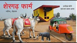 अनोखा फॉर्म एक बार जरूर आना शेरगढ़ फार्म || SHERGARH FARM MADINA, ROHTAK