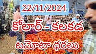 22/11/2024 // కోలార్ //కలకడ //🍅🍅🍅టమోటా మార్కెట్ ధరలు