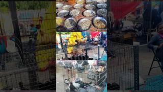 weekly market  | Chennai pallavaram market