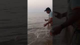 Daman Beach par 🐟जाल से मछली पकड़ता गांव का मछुआरा