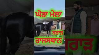 राजस्थान श्रीगंगानगर Hors मेला