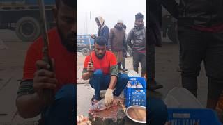 Amazing Pangash Fish Cutting Skills #ytshorts#shorts_videos  #Fish Cutting 💥💥