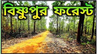 Bishnupur Forest, Bankura || বিষ্ণুপুর জঙ্গল সফর | Bishnupur Jungle | Bishnupur Tourist Spot