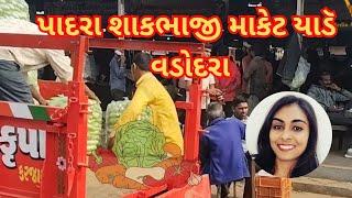 Vadodara Padara vegetables yard |🏡 વડોદરા પાદરા શાકભાજી યાર્ડ |