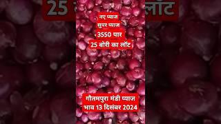 गौतमपुरा मंडी प्याज भाव 13 दिसंबर 2024