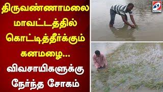 திருவண்ணாமலை மாவட்டத்தில் கொட்டித்தீர்க்கும் கனமழை... விவசாயிகளுக்கு நேர்ந்த சோகம்