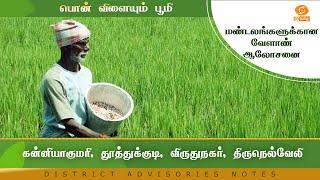 கன்னியாகுமரி, தூத்துக்குடி, விருதுநகர், திருநெல்வேலி | Agri Advisories Notes