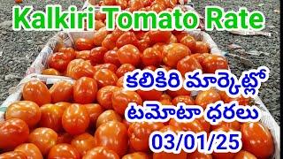 3 January 2025|| ఈరోజు కలికిరి మార్కెట్లో టమోటా ధరలు || కలికిరి మార్కెట్ టాప్ టమాటా ధరలు