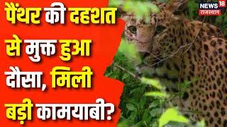 Dausa Panther News : Panther की दहशत से मुक्त हुआ Dausa | Rajasthan News | Tiger News | Latest News